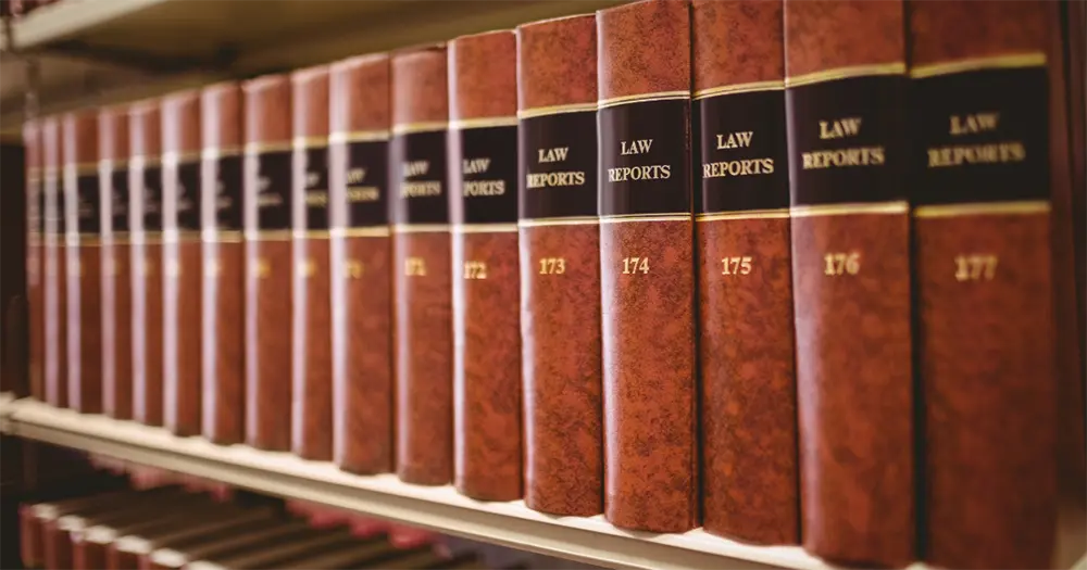 Employment Litigation